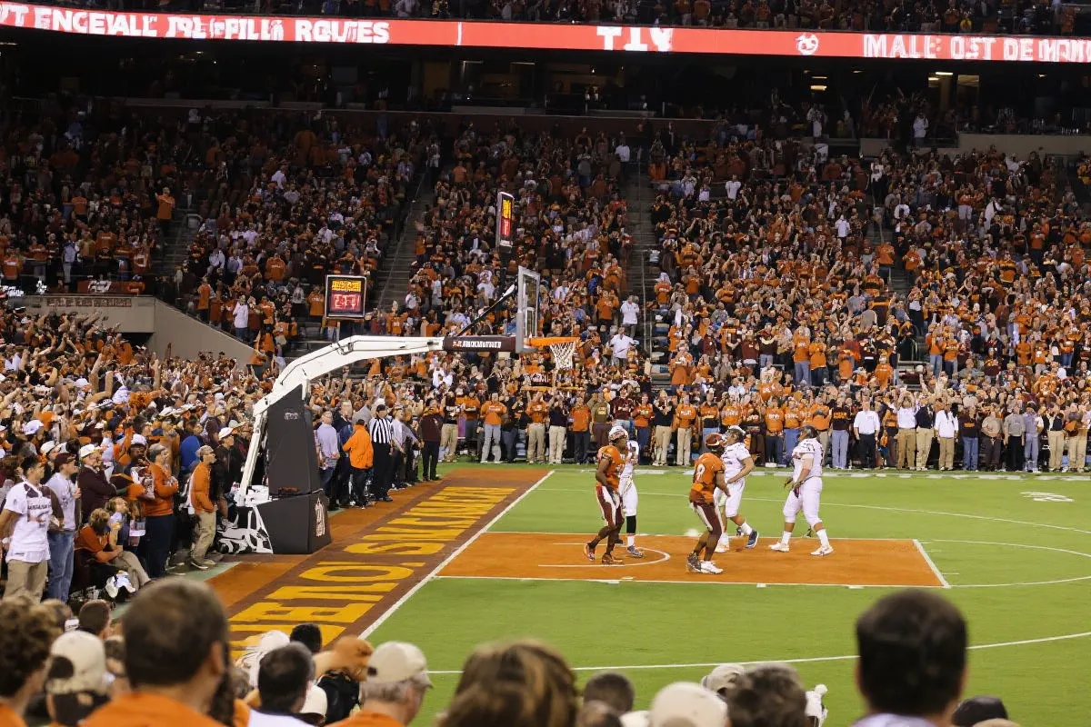 热门赛事与观赛氛围示意图